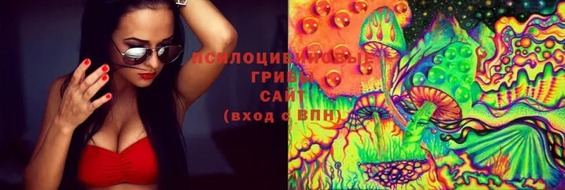 Галлюциногенные грибы MAGIC MUSHROOMS  Мегион 